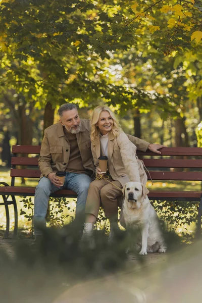 ポジティブな成熟したカップル保持テイクアウトコーヒーながらベンチに座って近くのラブラドールで公園 — ストック写真