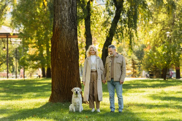 Happy Middle Aged Couple Casual Attire Walking Out Labrador Dog — Stock Photo, Image