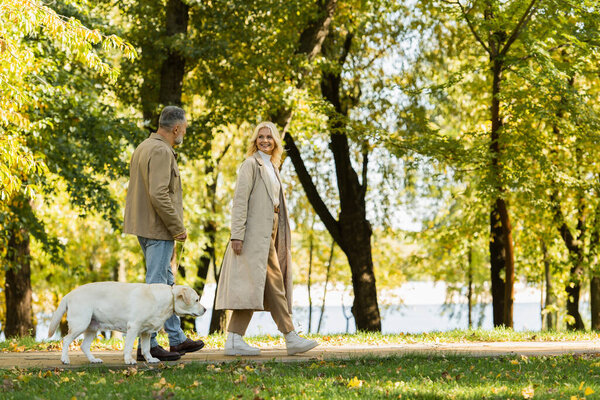 happy middle aged woman in casual attire walking out with husband and labrador dog in green park during springtime 