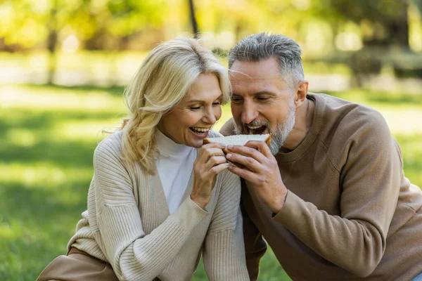陽気な中年夫婦が公園でピクニック中に両側からサンドイッチを食べて笑顔で — ストック写真