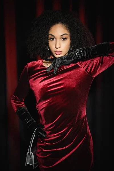 Pretty african american model posing in velvet dress and gloves near burgundy drapery