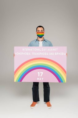 gay man in medical mask with lgbt flag holding placard with International Day Against Homophobia, Transphobia and Biphobia lettering on grey  clipart