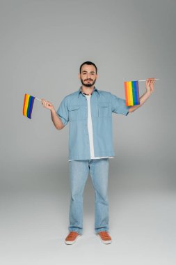Full length of young gay man holding lgbt flags while standing on grey background, International Day Against Homophobia  clipart