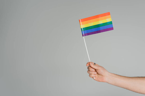 Обрезанный взгляд гомосексуалиста с флагом lgbt, изолированным на сером с копировальным пространством, Международный день борьбы с гомофобией  