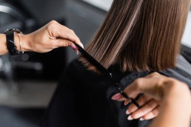 Kadın müşterinin kısa esmer saçını kesen kuaför, güzellik işçisi, kuaför, güzellik salonu işi, güzellik endüstrisi, makas ve profesyonel tarak, kuaför aletleri, kırpık görüş. 