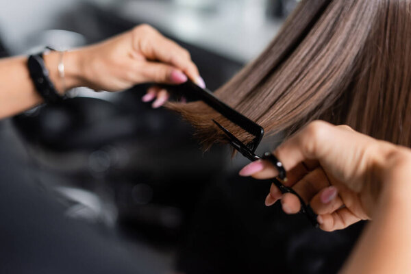 крупный план ножниц и профессиональной расчески, парикмахерские инструменты, обрезанный вид парикмахера короткие брюнетки волосы клиентки, красотка, стрижка, работа салона красоты, парикмахерская 