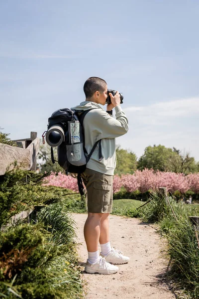 短い髪と若い女性旅行写真家のサイドビューは デジタルカメラで撮影し 背景で風光明媚な自然 旅行写真家 風景をトレッキング 夏に立って — ストック写真