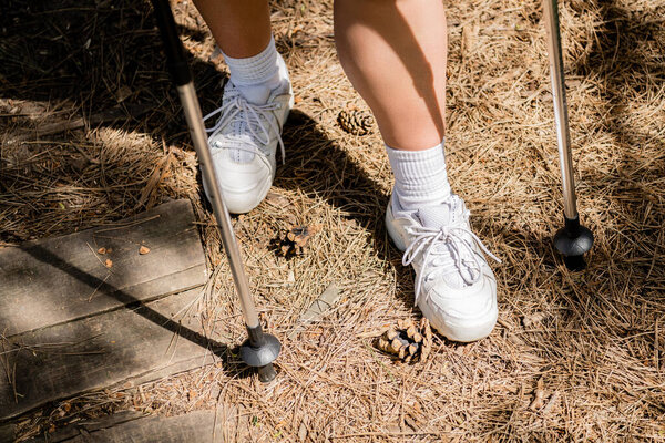 Cropped view of young woman hiker in sneakers standing near trekking poles and pine cones on ground in summer forest, hiking for health and wellness concept 