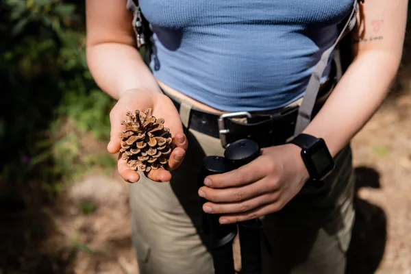 stock image Cropped view of young tattooed female tourist holding trekking poles and pine cone while standing in blurred forest during summer, hiking for health and wellness concept 