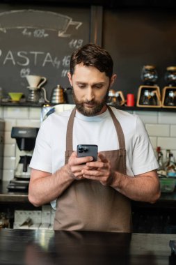 Barın yanında durup kahve dükkanında çalışırken önlüklü sakallı barista akıllı telefon kullanıyor.