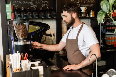 Kahvecide çalışırken kahve öğütücüsü kullanan önlüklü sakallı barista.