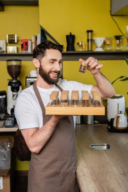 Kahvecide çalışırken elinde kahve çekirdekleri tutan önlüklü neşeli barista.