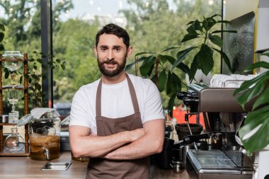 Önlüklü pozitif sakallı barista kollarını kavuşturup kahve dükkanında çalışırken kameraya bakıyor.