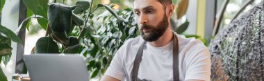 Önlüklü sakallı barista bitkilerin yanında otururken dizüstü bilgisayar kullanıyor ve kahve dükkanında çalışıyor.
