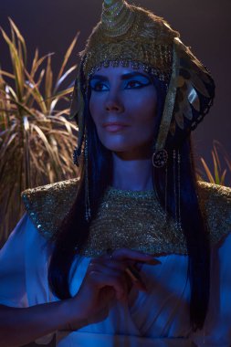 Geleneksel Mısırlı kostümlü ve başlıklı kadın kahverengi arka planda çöl bitkilerinin yanında duruyor.