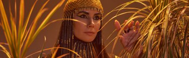 Mısır başlıklı ve kolyeli şık bir kadın kahverengi, afiş şeklinde çöl bitkilerine dokunuyor.