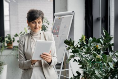 Modern ofiste dijital tabletli kendinden emin orta yaşlı iş kadını, iş planlaması