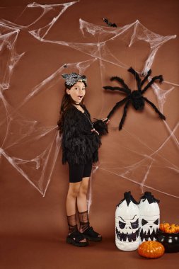 surprised preteen girl in black outfit touching spider on brown backdrop with cobweb, Halloween clipart