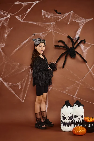 stock image surprised preteen girl in black outfit touching spider on brown backdrop with cobweb, Halloween
