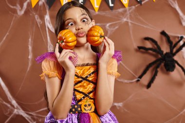 funny girl with spiderweb makeup puffing cheeks and  holding pumpkins on brown backdrop, Halloween clipart