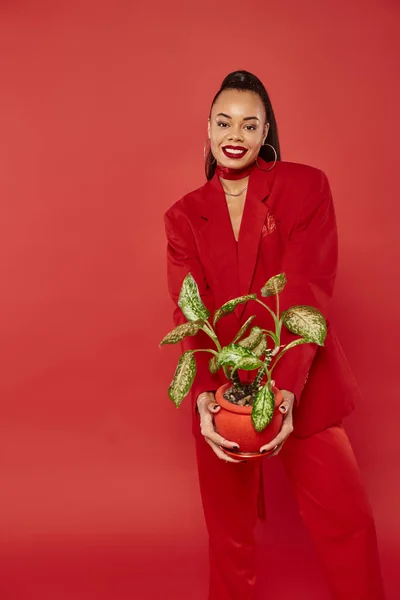 stock image positive african american woman in red suit pants and jacket standing with potted green plant