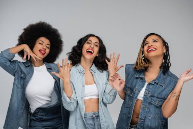 overjoyed multiracial girlfriends in blue denim clothes gesturing on grey, friendship and happiness clipart