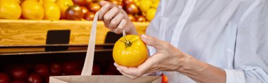 cropped view of woman putting yellow tomato into shopping bag while at grocery store, banner clipart