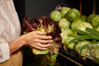 Markette elinde kırmızı marul tutan sıradan giyinmiş olgun bir kadın görüntüsü.