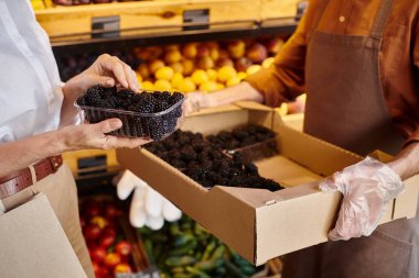 cropped view of mature seller helping his customer to choose fresh blackberries at grocery store clipart