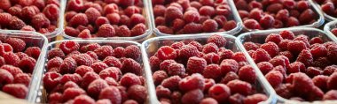 object photo of packed juicy vibrant delicious raspberries at grocery store, farmers market, banner clipart