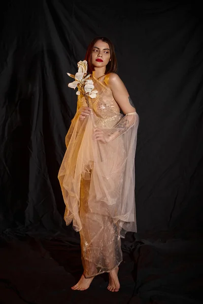 Longitud Completa Mujer Elegante Vestido Transparente Sosteniendo Flor Blanca Fondo — Foto de Stock