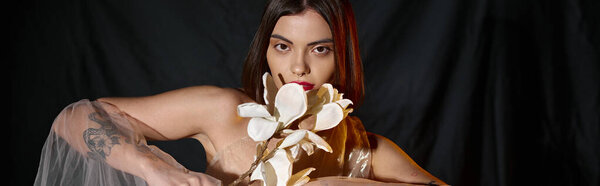 graceful woman in romantic transparent dress holding white blooming flower on black backdrop, banner