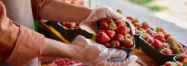 stock image cropped view of mature seller holding pack of fresh strawberries in hands by window at store, banner