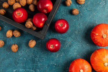 Siyah tepsinin yanında turuncu kabaklar ceviz ve kırmızı elmalar mavi desenli arka planda, şükran günü.