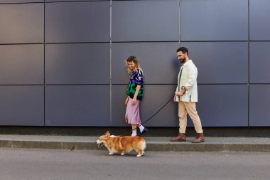 happy and stylish couple walking with corgi dog near modern grey building, animal companions clipart