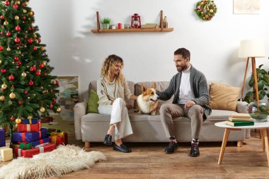 Mutlu çift kanepede oturuyor ve süslü Noel ağacının yanında Corgi sosisine sarılıyor ve hediyeler veriyor.