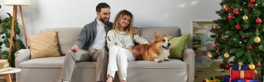 Mutlu çift koltukta oturuyor, evde süslü Noel ağacının yanında Corgi sosisine sarılıyorlar.