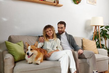 Gündelik kışlık giysiler içinde mutlu bir çift modern dairede koltukta oturup Corgi Dog 'a sarılıyor.