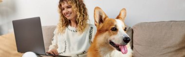 Corgi dog kanepeye oturmuş mutlu kıvırcık kadın evde çalışırken dizüstü bilgisayar kullanıyor, afiş.