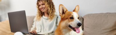corgi dog sitting on couch near happy curly woman using laptop while working from home, banner clipart