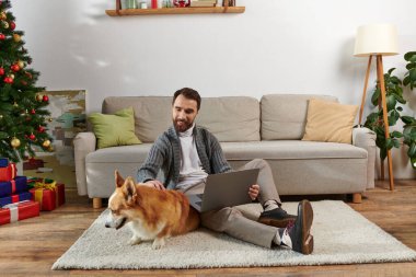 Mutlu adam dizüstü bilgisayar kullanıyor, Corgi Dog 'un yanındaki halıya oturuyor ve evdeki süslü Noel ağacını süslüyor.