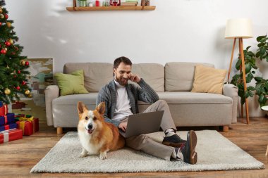 Mutlu adam dizüstü bilgisayar kullanıyor, Corgi Dog 'un yanındaki halıya oturuyor ve evdeki süslü Noel ağacını süslüyor.