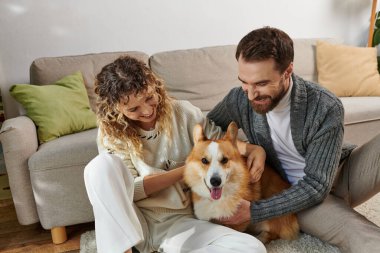 Tatmin olmuş erkek ve kadın gülümsüyor ve modern dairede şirin bir Corgi köpeğiyle oynuyor, mutlu anlar.