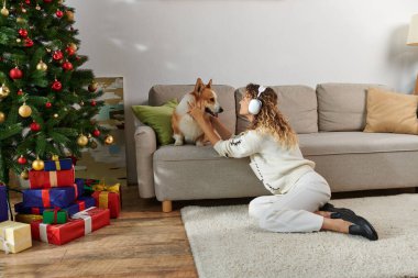 Kablosuz kulaklıklı kıvırcık kadın süslü Noel ağacının yanında şirin bir Corgi köpeğiyle oynuyor.