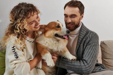 Kış kıyafetleri içinde neşeli bir çift modern apartman dairesinde gülümsüyor ve Corgi köpeğiyle oynuyor, mutlu anlar.