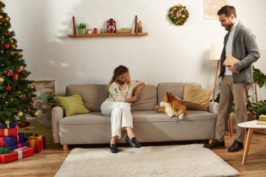 Mutlu bir kadın, Corgi Dog 'la koltukta oturuyor ve Noel günü elinde kitapla kocaya bakıyor.