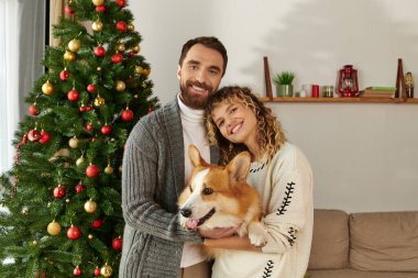 happy couple in winter clothing holding corgi dog and standing near decorated Christmas tree clipart