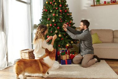 happy couple in winter clothing decorating Christmas tree near wrapped presents and corgi dog clipart