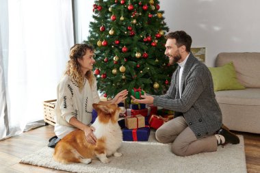 Kış kıyafetleri içinde mutlu bir çift Noel ağacı ve Corgi köpeğinin yanında hediye değiş tokuşu yapıyor.