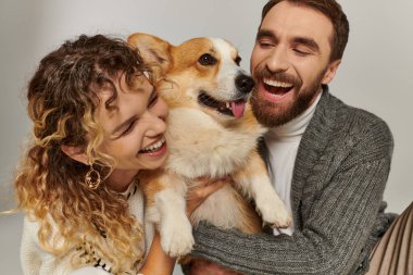 Aile portresi, kışın giyinmiş neşeli bir adam ve kadın gri arka planda şirin bir Corgi ile poz veriyor